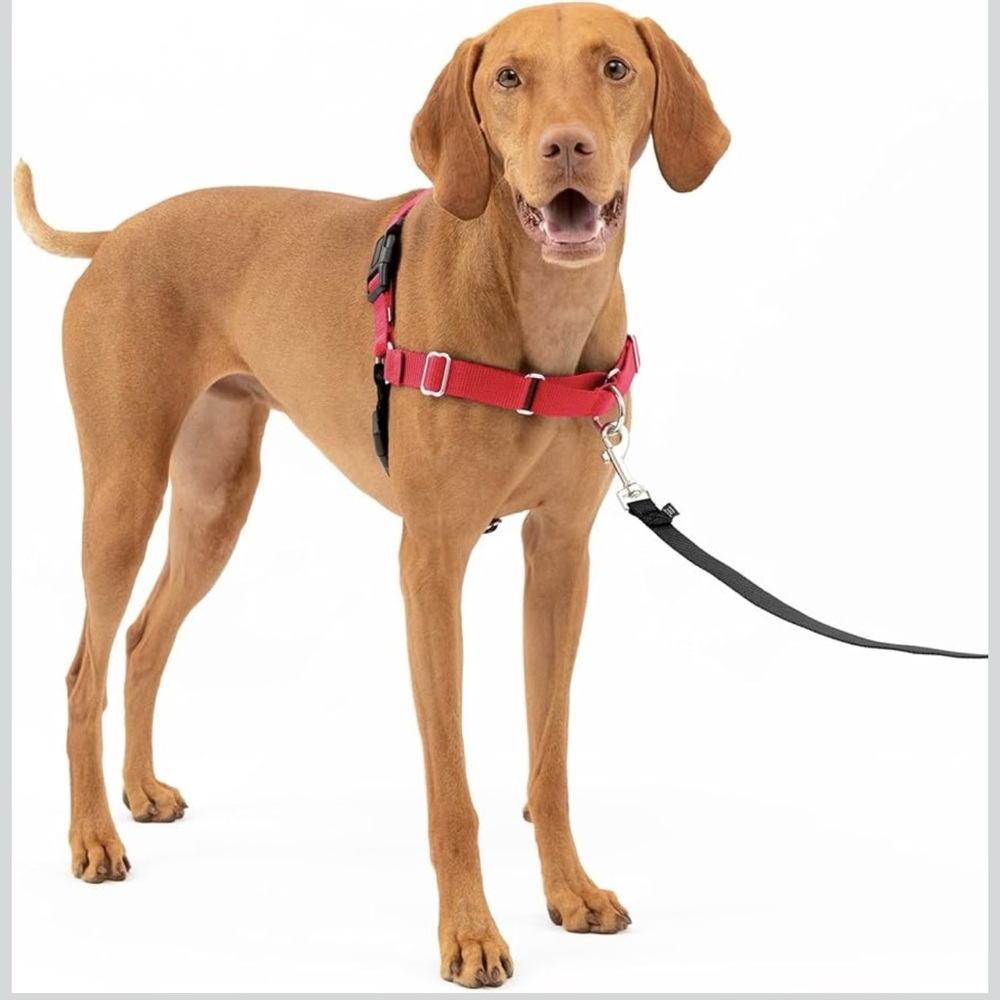 Dog Harness